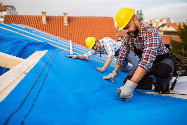 Roof Gutter Cleaning in St Augustine South, FL